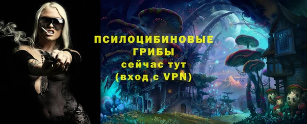 молекула духа Алексеевка