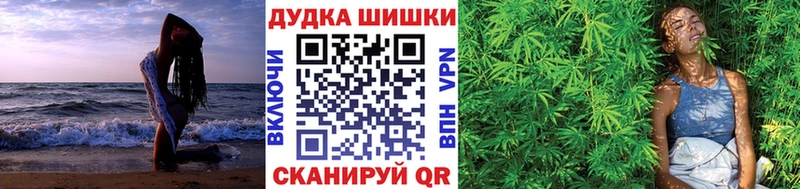 дарк нет как зайти  Рошаль  МАРИХУАНА SATIVA & INDICA 